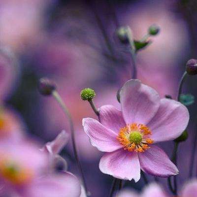 leyu·乐鱼下载手机版