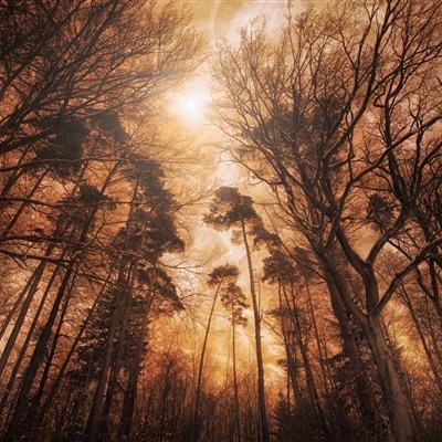 星空游戏app下载截图