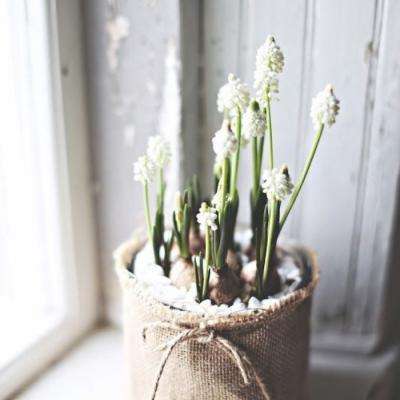 炸金花单机游戏app下载