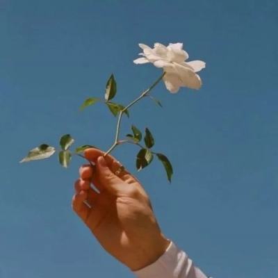 香港2023正版免费资料app下载