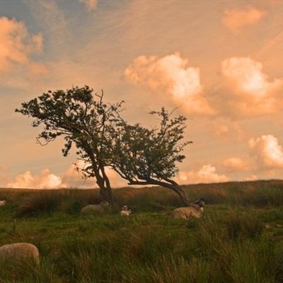 星空游戏app下载