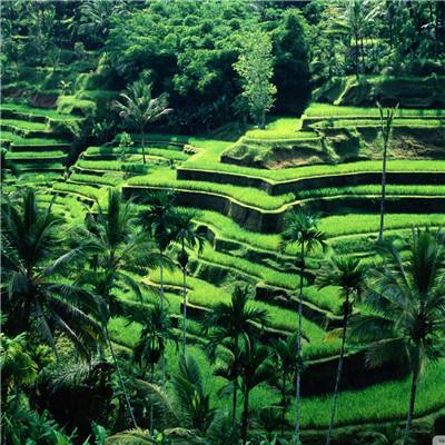 云开平台APP官方全站APP入口下载手机版