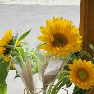 乐鱼官方-登录入口