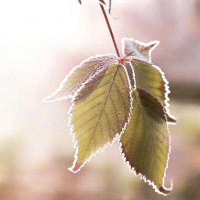 开云网kaiyun手机app下载